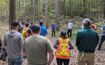 Group of people listening to a speaker during a forest tour. Group of people listening to a speaker during a forest tour.